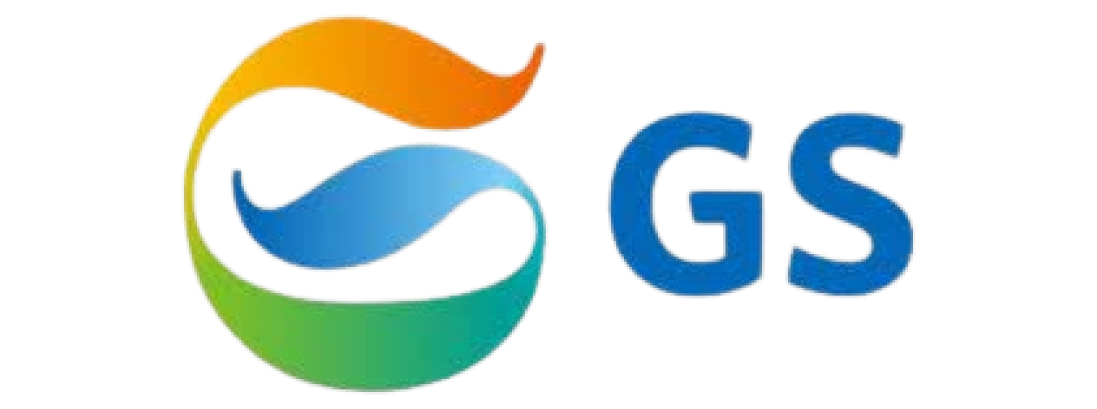 Gs Logo